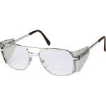 スワン　保護めがね　２眼型　ＰＥＴ＿