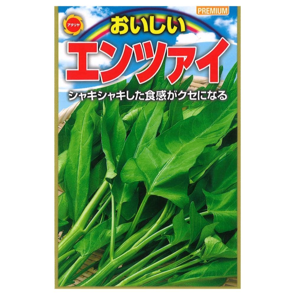 葉菜種子　おいしいエンツァイ