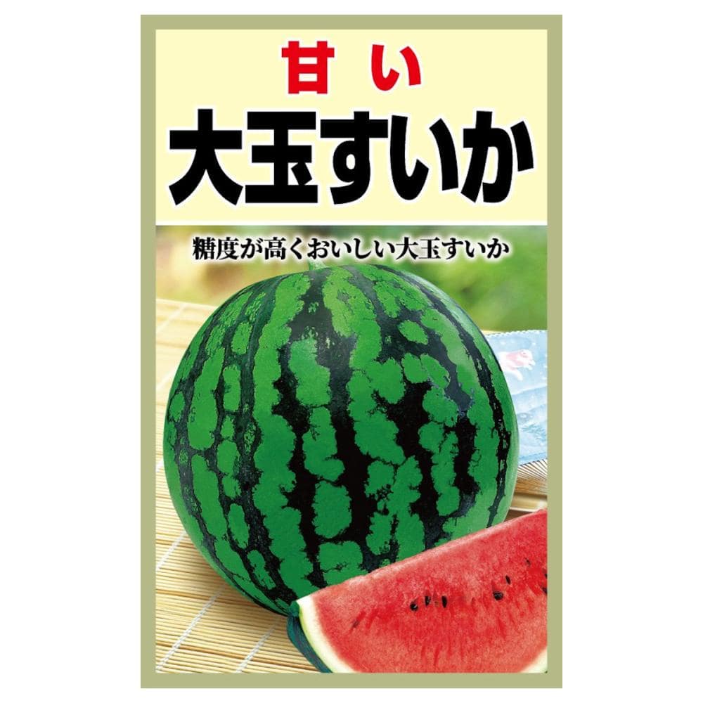 スイカ種子　甘い大玉すいか