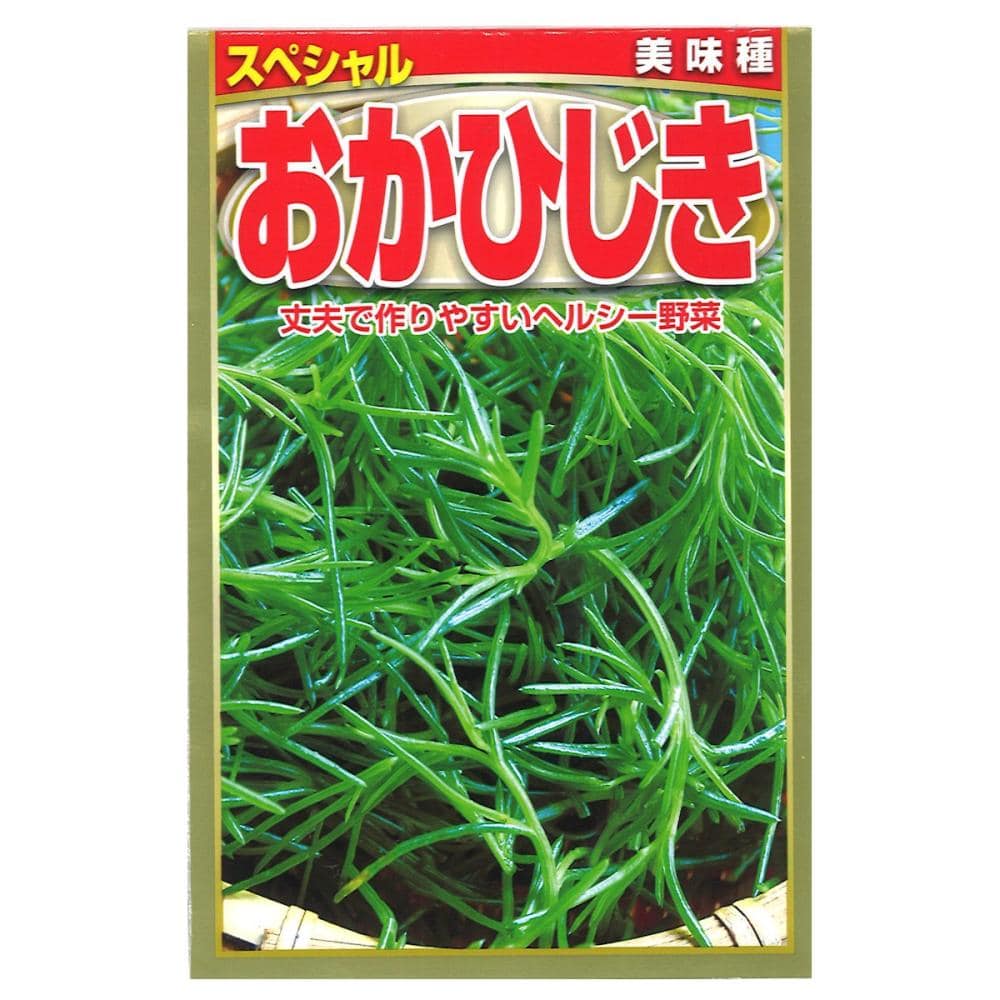 オカヒジキ種子　おかひじき