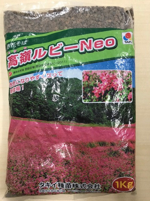 【緑肥種子】　赤花そば　高嶺ルビーＮＥＯ　１ｋｇ　５袋単位　店着送料不要