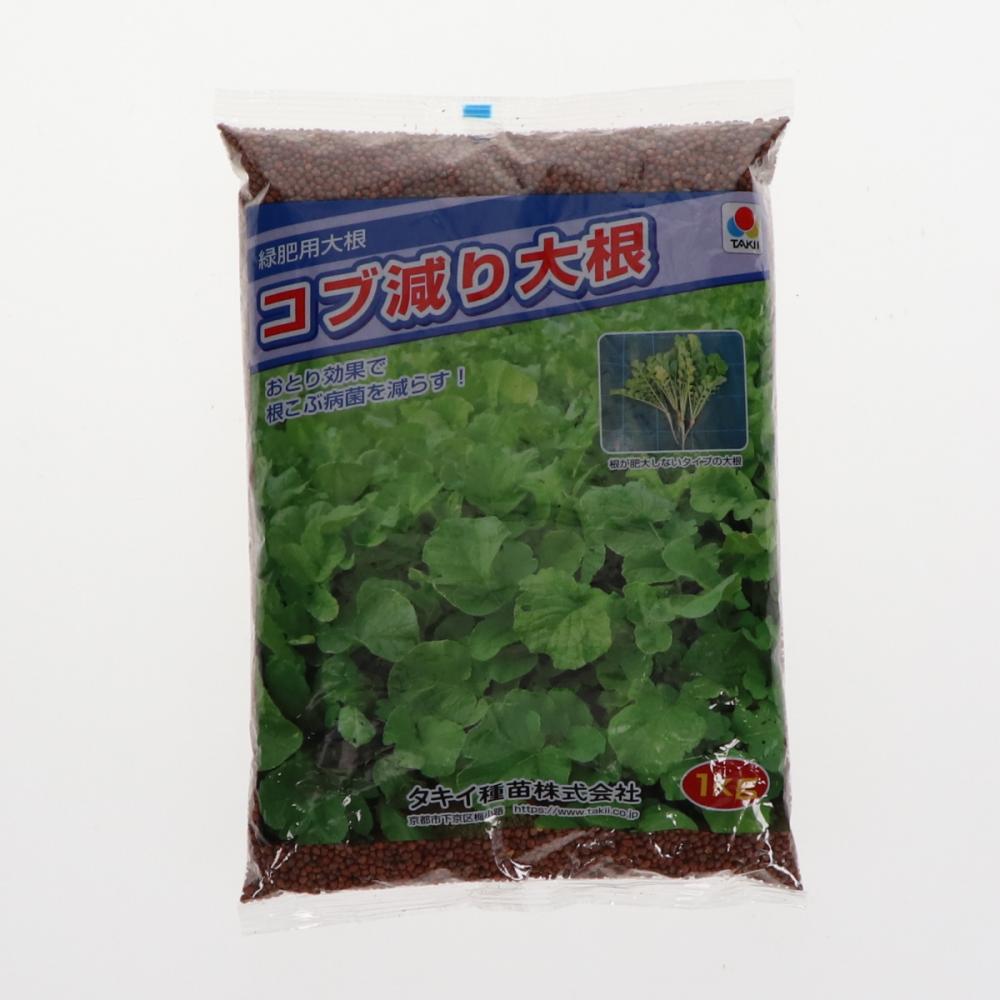 【緑肥種子】　緑肥用だいこん　コブ減り大根　１ｋｇ　５袋単位　店着送料不要