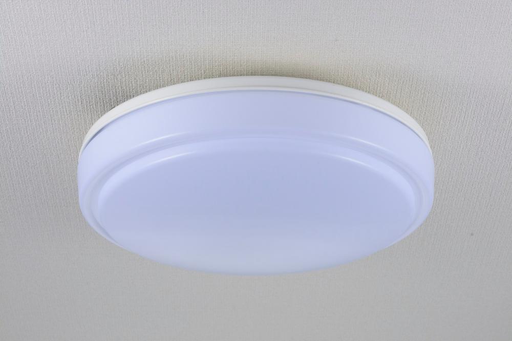 ＬＥＤ内玄関灯ＬＴ－Ｙ１８Ｄ－Ｇ　昼光色