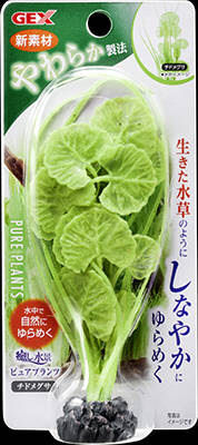 ジェックス　癒し水景ピュアプランツ　チドメグサ