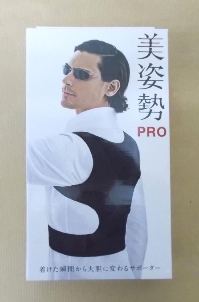 美姿勢プロ　Ｌ