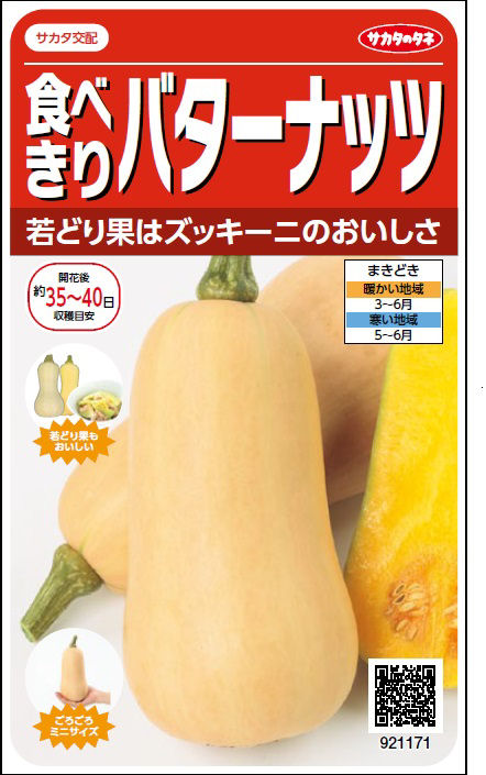 カボチャ種子　食べきり　バターナッツ　リトルディッパー