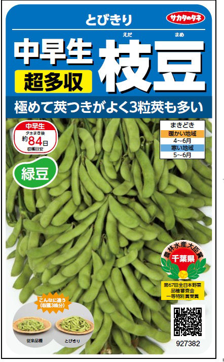 エダマメ種子　中早生枝豆　とびきり