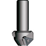 富士元　ヤングメン＿