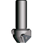 富士元　ヤングメン＿