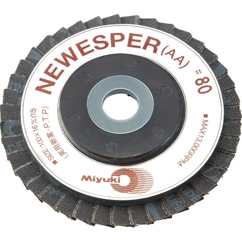 ミユキ　ニューエスパー　ＡＡ　１００Ｘ１６　８０＃＿