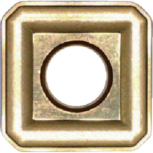 富士元　フェイス加工用Ｓタイプ並級チップ　超硬Ｍ種　ＴｉＮコーティング　ＣＯＡＴ＿