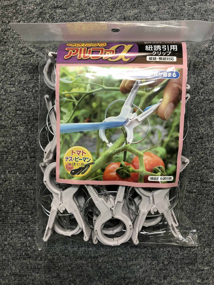 くきたっちアルファ　２４個入