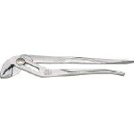 エビ　アンギラス　２５０ｍｍ＿