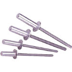 エビ　ブラインドリベットシールドタイプアルミ／スティール６－４　（１０００本入）＿