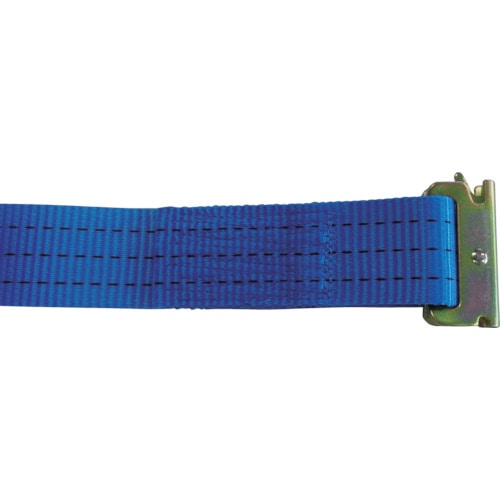 ＴＥＳＡＣ　ラッシングベルト（ベルト荷締機）ラチェットバックル式両端ワンピース付＿