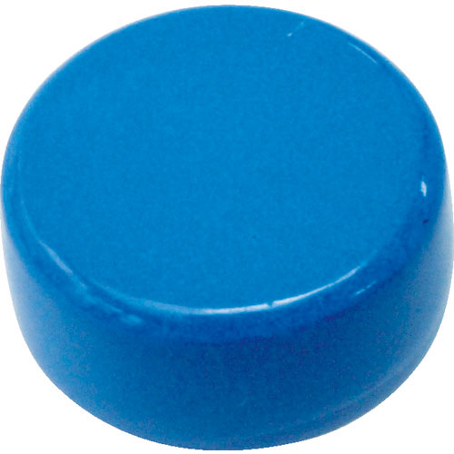 ＴＲＵＳＣＯ　フェライトポリアミド磁石　１８　青　１個入＿