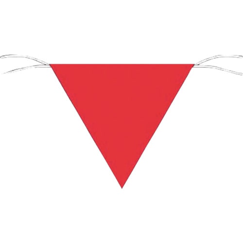 つくし　三角旗標識　赤無地＿