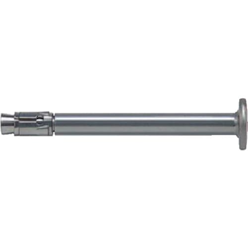 フィッシャー　ネイルアンカー　ＦＮＡ２　６Ｘ３０／５０　Ｃ　　（５０本入）＿