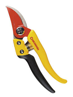 チカマサ　ウルトラロッソ７イエロー