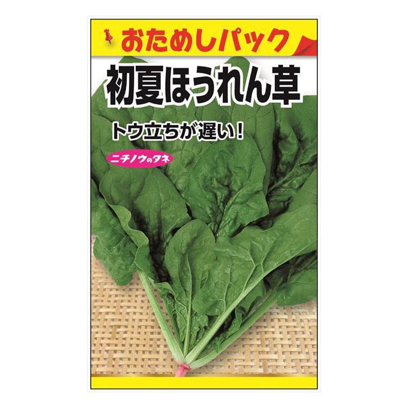 ニチノウのタネ　初夏ほうれん草　おためしパック