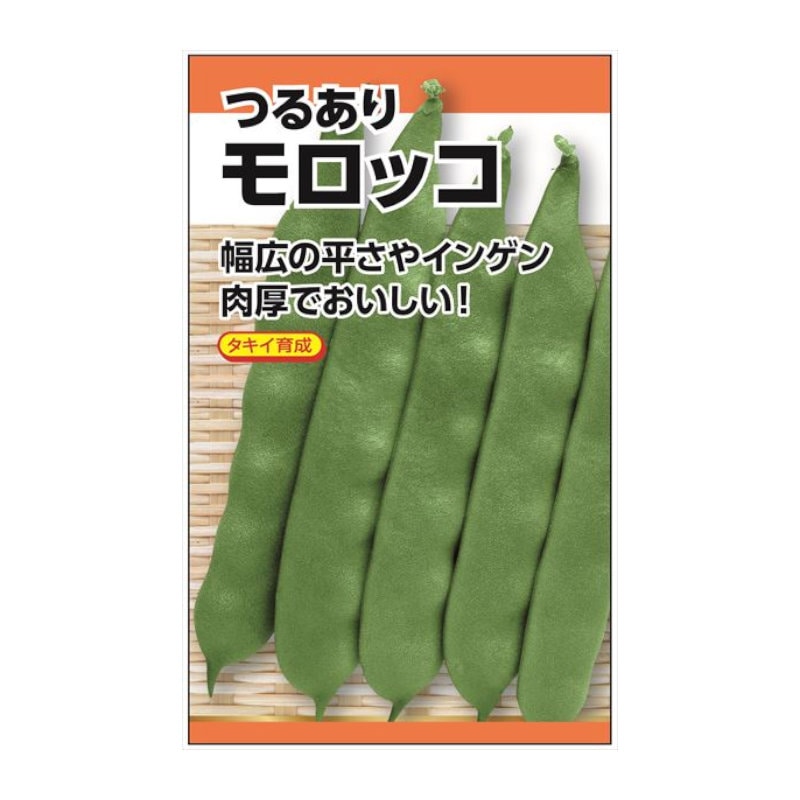 タキイ育成　つるありモロッコ