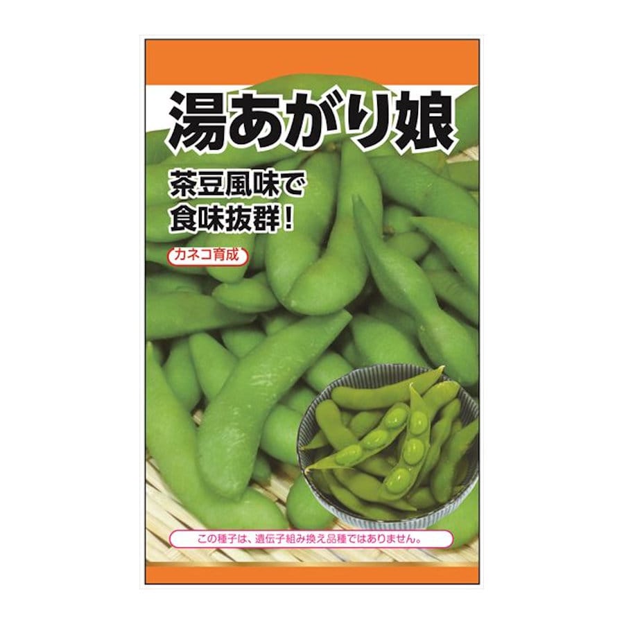 ニチノウのタネ　エダマメ種子　湯あがり娘