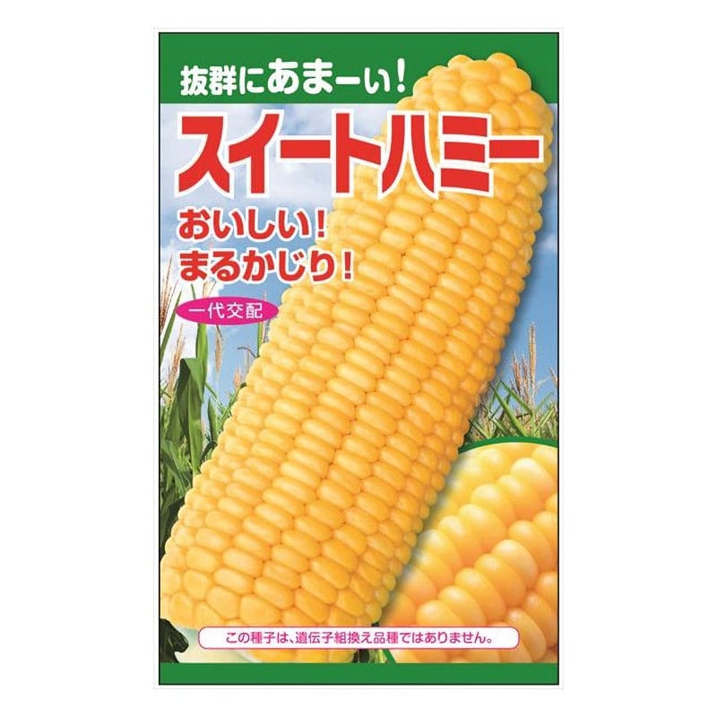 ニチノウのタネ　スイートハミー