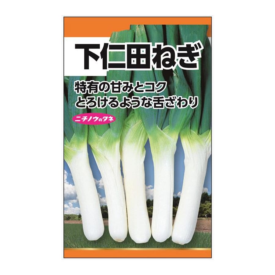 ニチノウのタネ　下仁田ねぎ