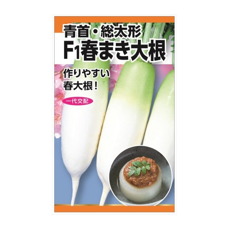 青首・総太形　Ｆ１春まき大根