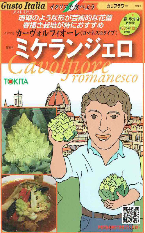 【宅配専用】　葉菜種子　ミケランジェロ