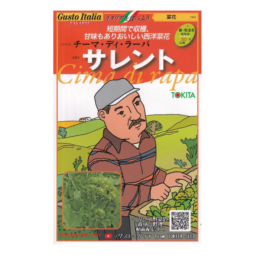 【宅配専用】　葉菜種子　サレント