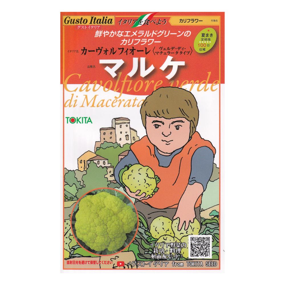 【宅配専用】　葉菜種子　マルケ