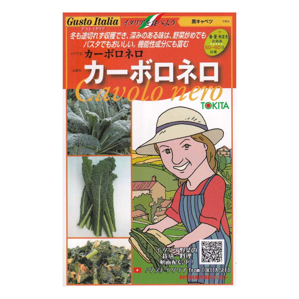 【宅配専用】　葉菜種子　カーボロネロ