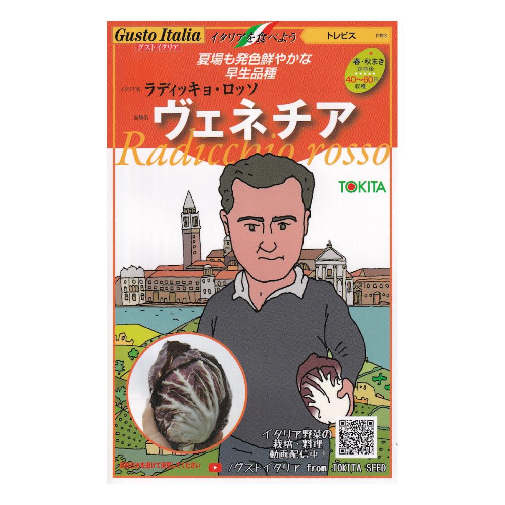 【宅配専用】　葉菜種子　ヴェネチア