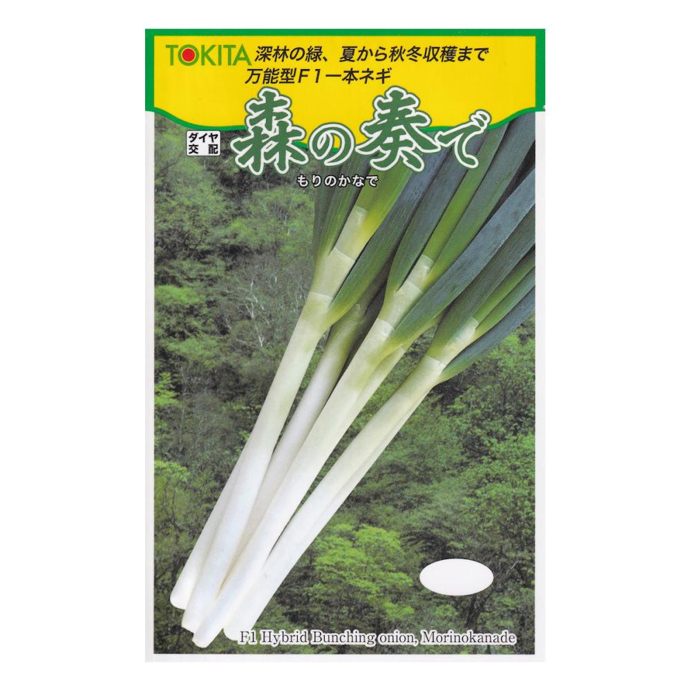 【宅配専用】　葉菜種子　森の奏で