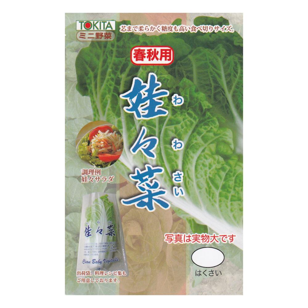 【宅配専用】　葉菜種子　娃々菜　春秋用