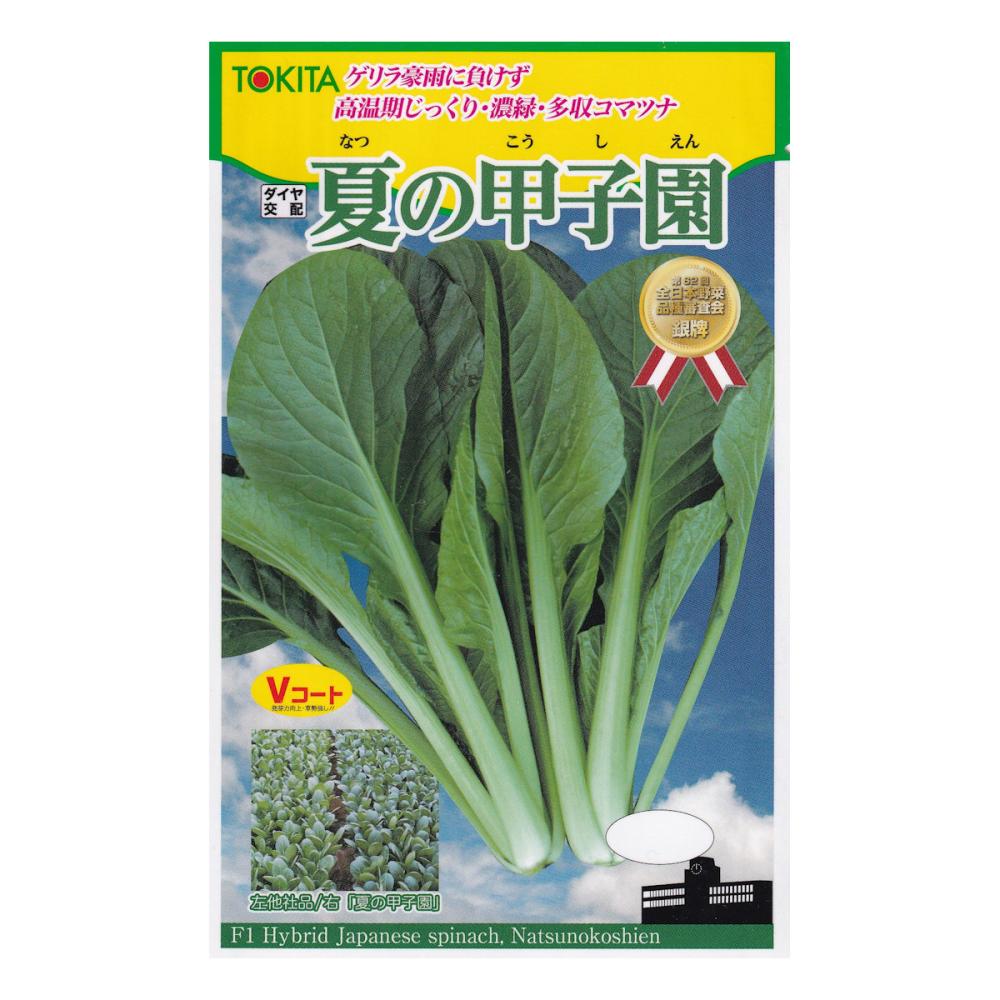 【宅配専用】　葉菜種子　夏の甲子園