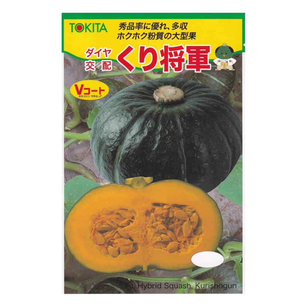 【宅配専用】　カボチャ種子　くり将軍
