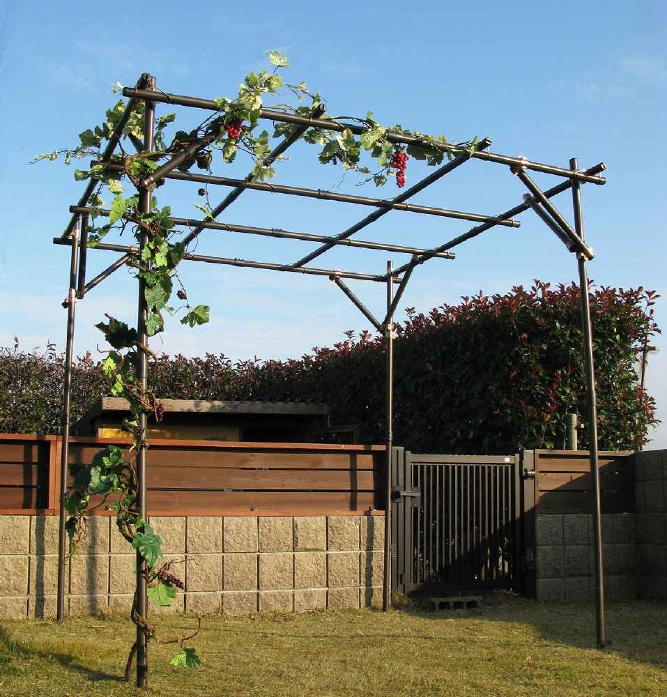 ガーデンアグリパイプ果樹棚セット　２ｍ×２ｍ×２ｍ