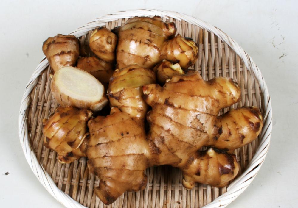 完売御礼【春予約】　中国産　大生姜　５ｋｇ　【申込期限：３月２２日（日）】　【引渡予定日：４月１１日（土）～１９日（日）】