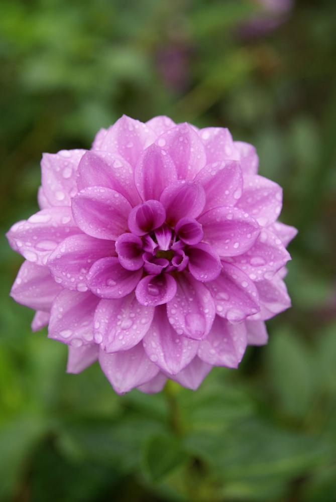 秘境（ひきょう）