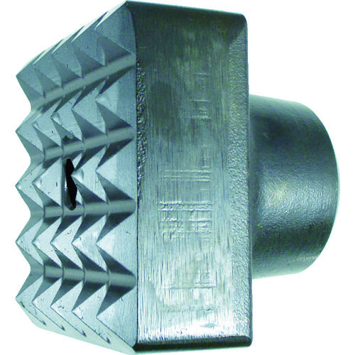 ＨｉＫＯＫＩ（ハイコーキ）　ビシャン（面荒し用）　＿