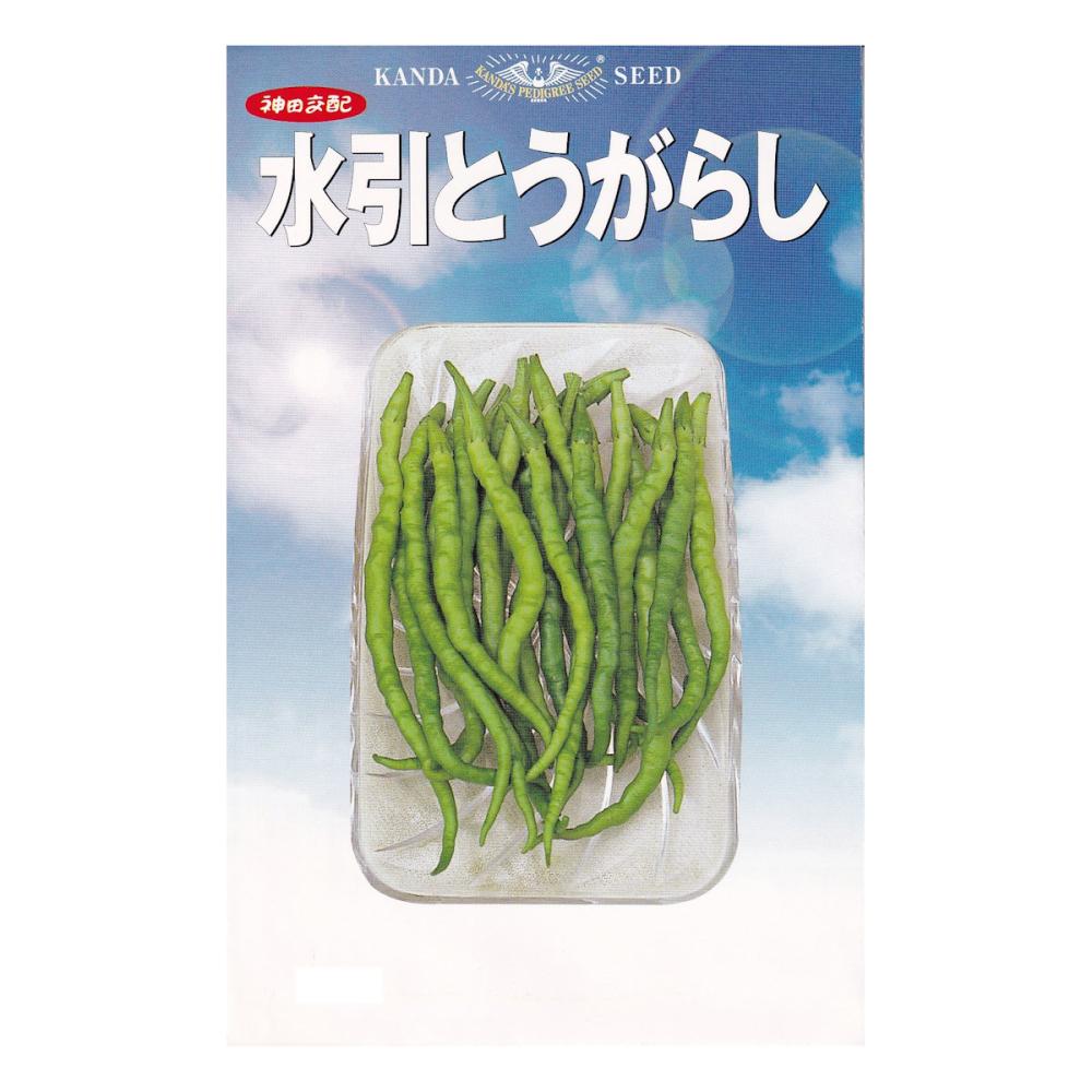 【宅配専用】　トウガラシ種子　水引とうがらし