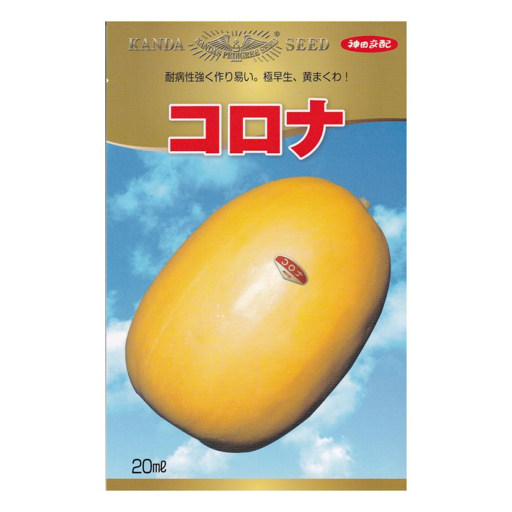 【宅配専用】　まくわうり種子　コロナ