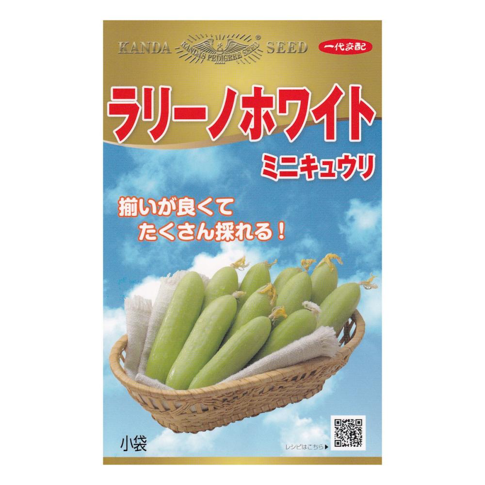 【宅配専用】　キュウリ種子　ラリーノホワイト