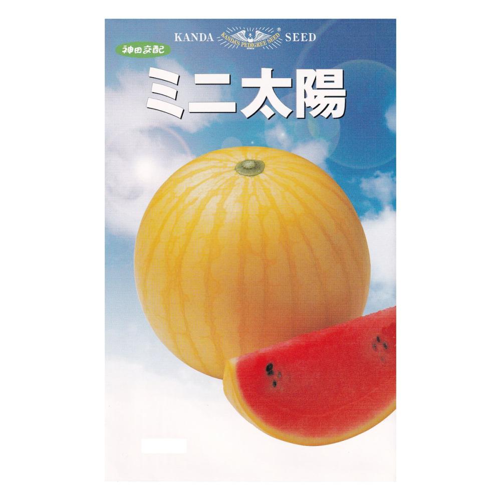 【宅配専用】　スイカ種子　ミニ太陽