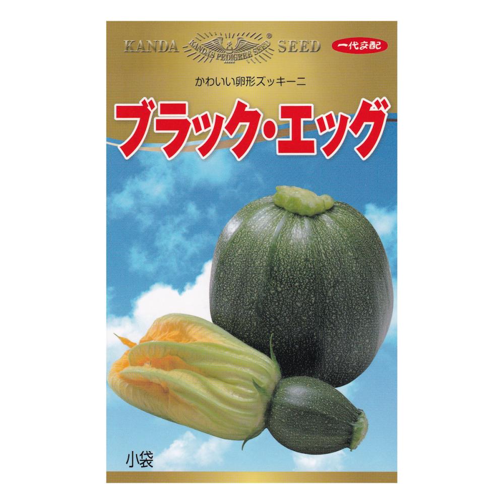 【宅配専用】　ズッキーニ種子　ブラック・エッグ