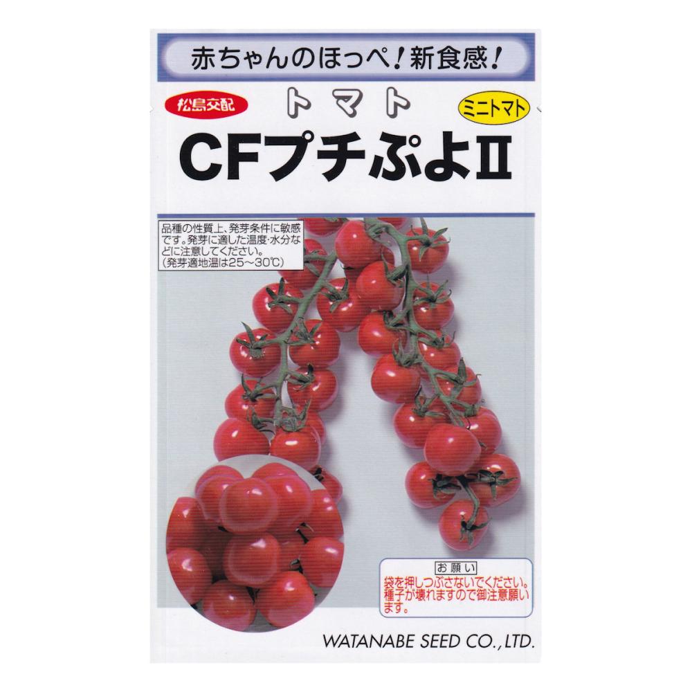 【宅配専用】　ミニトマト種子　プチぷよ2