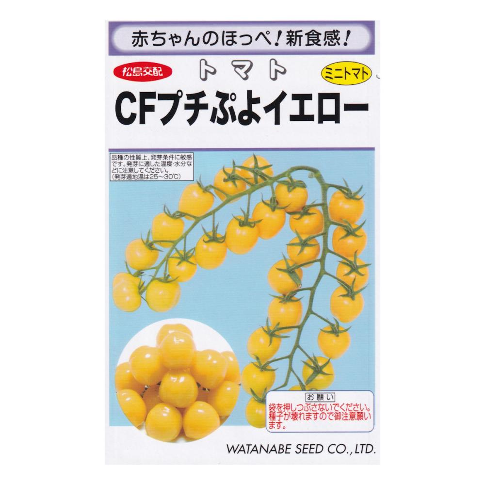【宅配専用】　ミニトマト種子　プチぷよイエロー