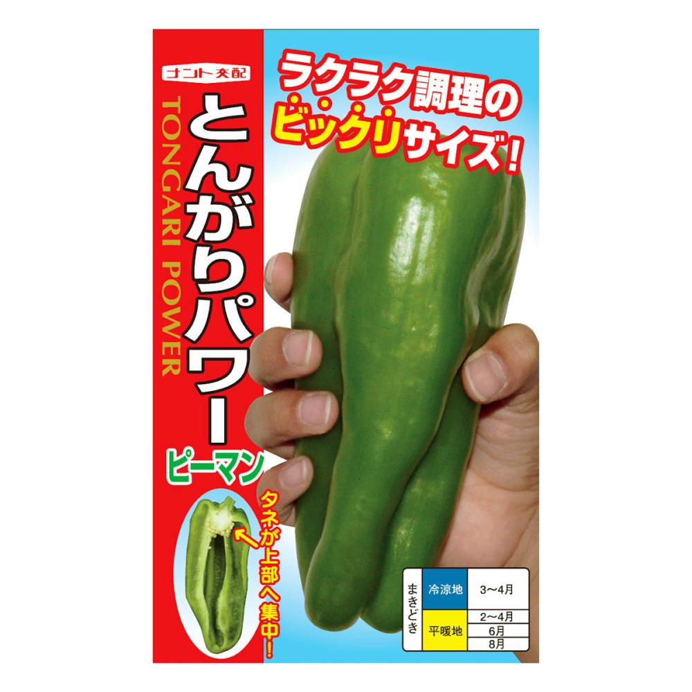 【宅配専用】　ピーマン種子　とんがりパワー